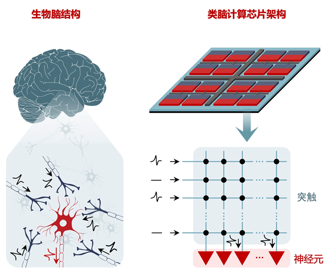 清华大学自然电子发表类脑计算芯片研究综述