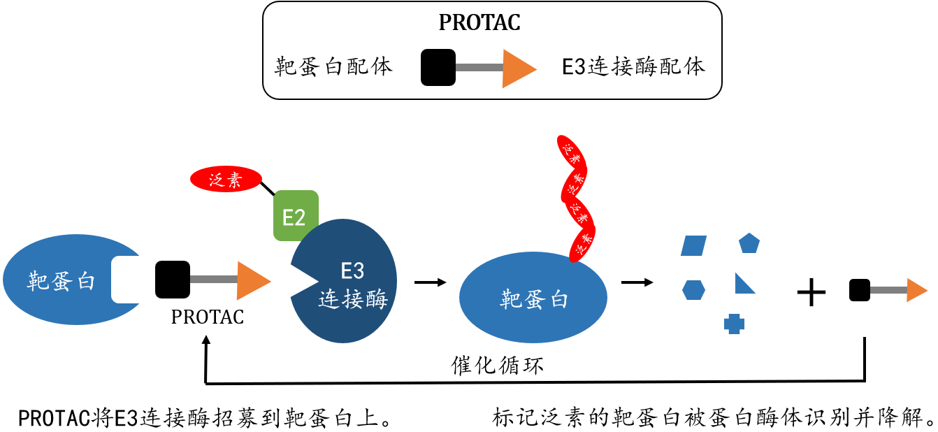 清华大学药学院在CDK2降解剂设计与应用方面取得突破 1 清华大学药学院在CDK2降解剂设计与应用方面取得突破